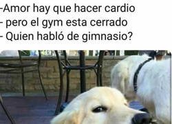 Enlace a Una indirecta muy directa