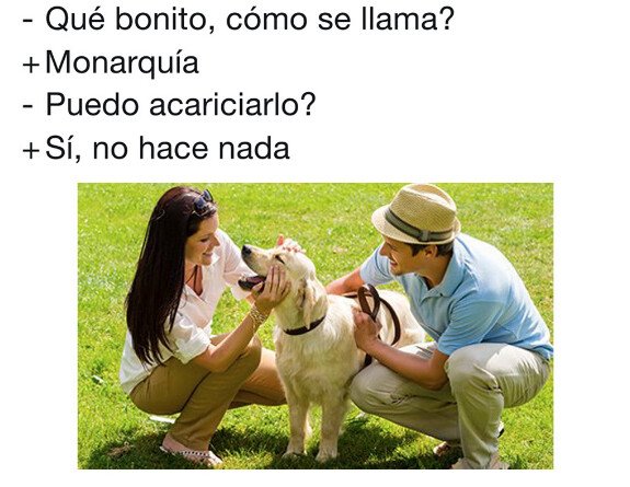 Meme_otros - Está de adorno