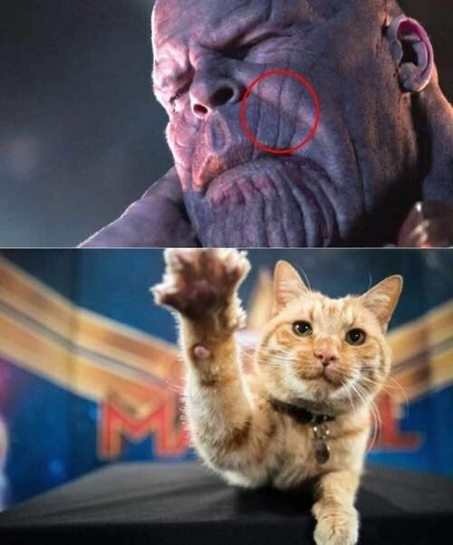 Meme_otros - El único que puede hacer un rasguño a Thanos
