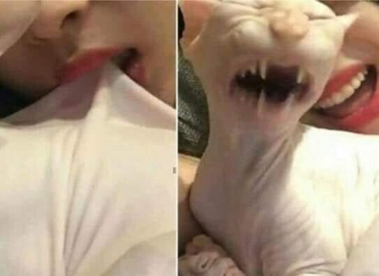 Meme_otros - Y cuando pensabas que era una camisa...