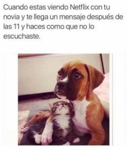 Meme_otros - Disimula que no es para mi