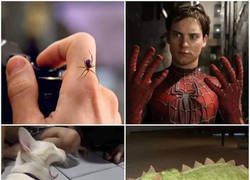 Enlace a Ataques que hacen que te transformes