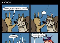 Enlace a Un momento mágico arruinado en pocos segundos