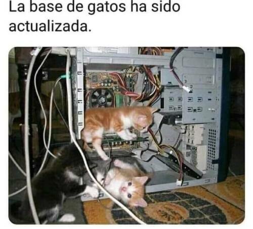 Meme_otros - Un sonido que te alegra el día