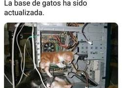 Enlace a Un sonido que te alegra el día