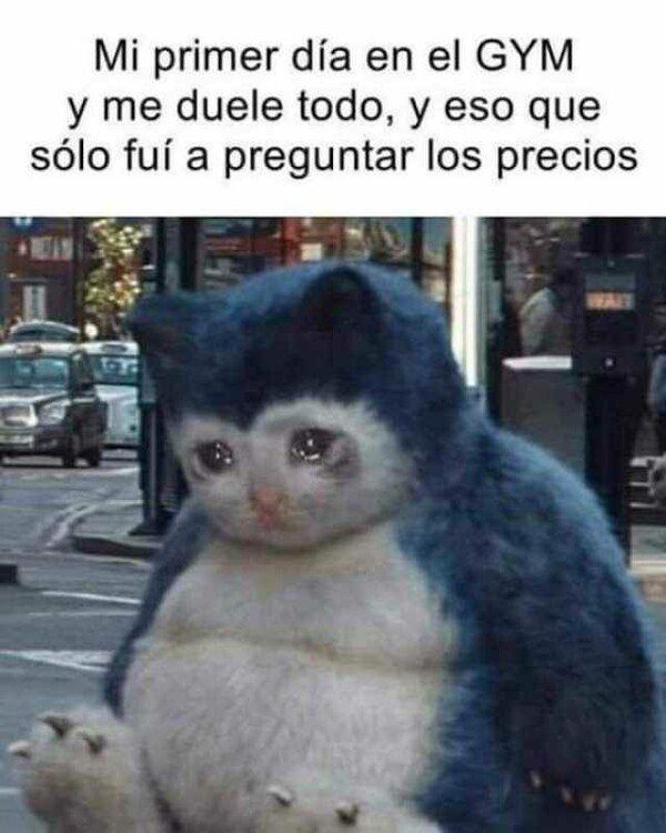 Meme_otros - Va a ser dura mi estancia en el gimnasio