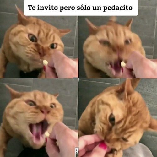 Meme_otros - Te doy un poco y quieres todo