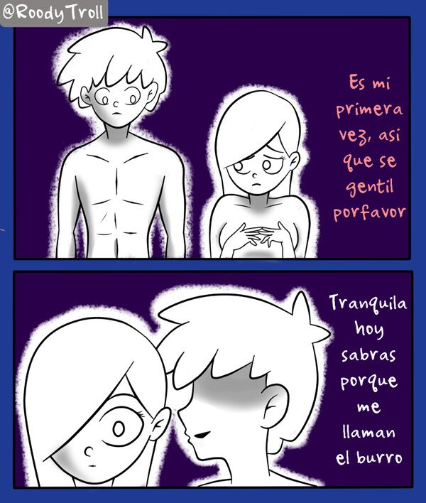 burro,risa,meme,divertido