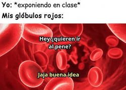 Enlace a Los glóbulos rojos son unos trolls