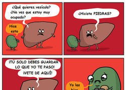 Enlace a Pobre vesícula