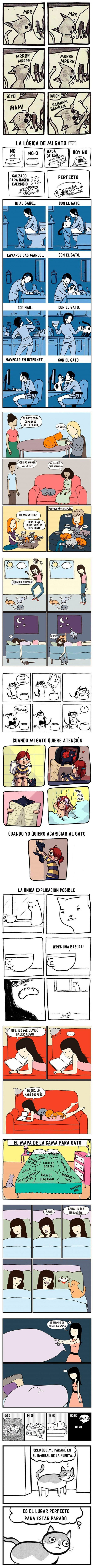 Otros - La dificultad de tener un gato