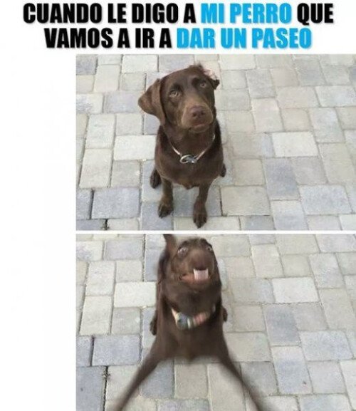 Meme_otros - Le falta mucho tiempo para correr