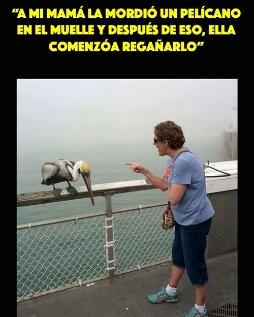 Meme_otros - Las madres son lo mejor del mundo