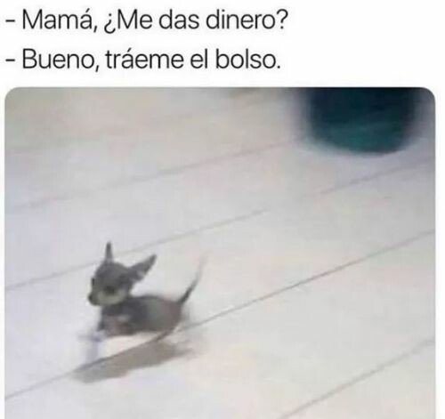 Meme_otros - Nadie me supera a velocidad