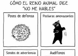 Enlace a Los humanos no nos entendemos entre nosotros