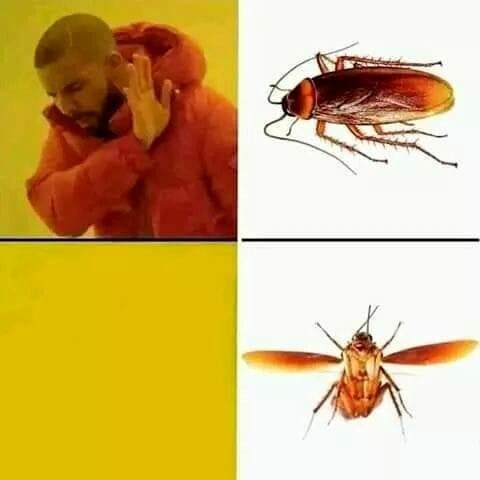 Meme_otros - El mayor temor de la humanidad