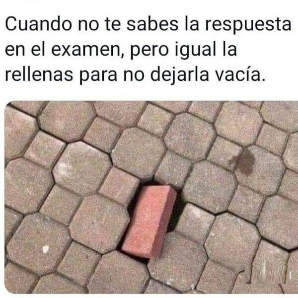 Meme_otros - Si cuela, bien y si no también