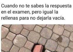 Enlace a Si cuela, bien y si no también