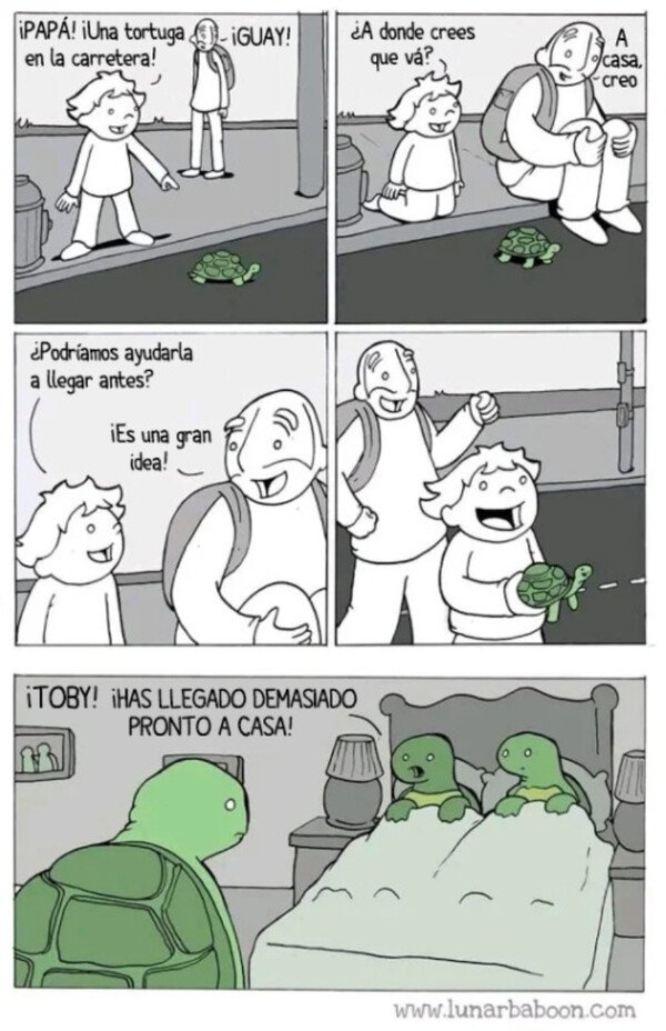 Otros - Nunca ayudes a una tortuga