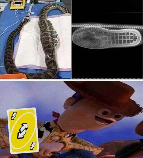 Meme_otros - ¿Pero cómo ha terminado eso ahí?