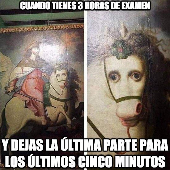caballo,metro,cara