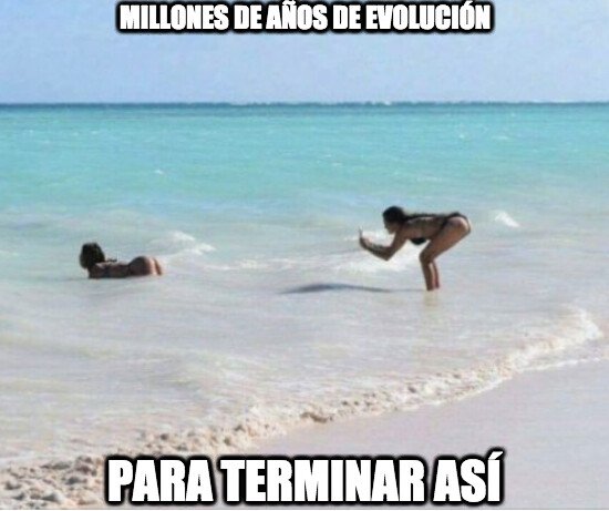 Meme_otros - Una imagen vale más que mil palabras