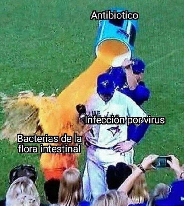 Meme_otros - Una breve explicación