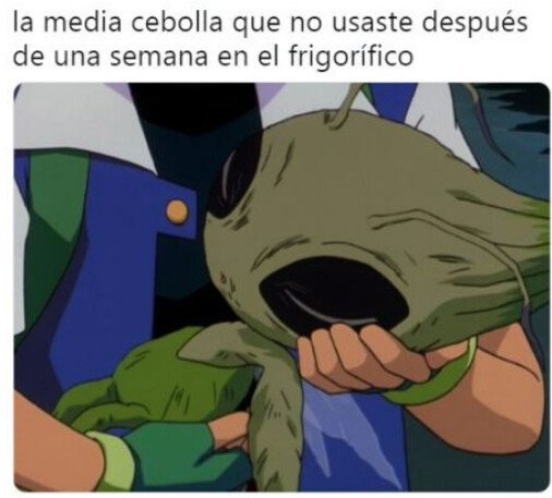 Meme_otros - Esa cebolla que da mucha lastimica
