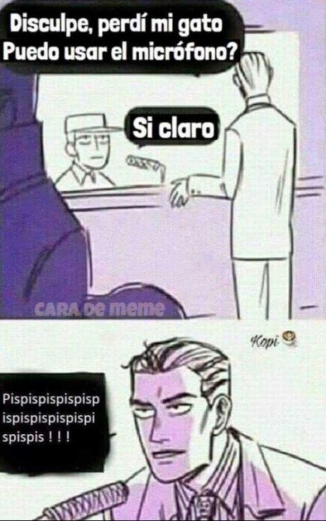 Meme_otros - Método para encontrar al gato