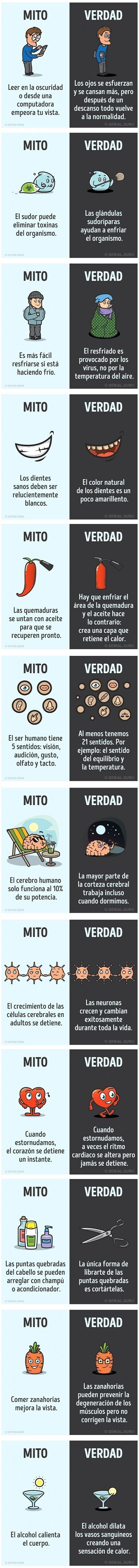 Meme_otros - Verdades y mentiras desmentidas fácilmente