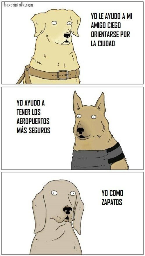 Otros - La habilidad de cada perro