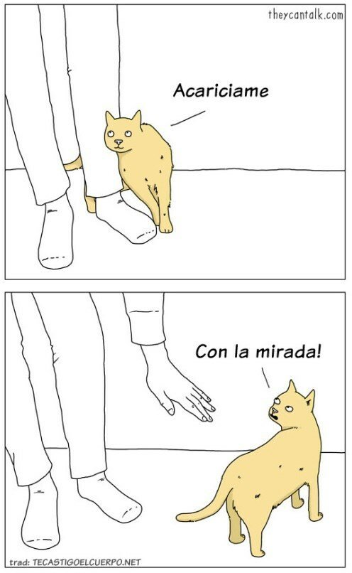 Otros - La lógica de los gatos