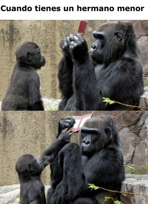 Meme_otros - Típico de hermanos