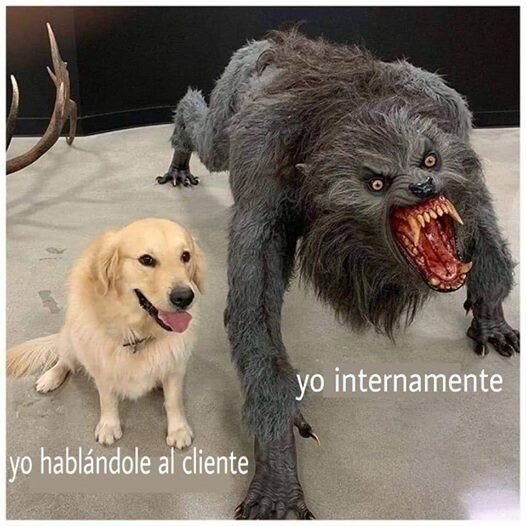 Meme_otros - Bendita paciencia tengo