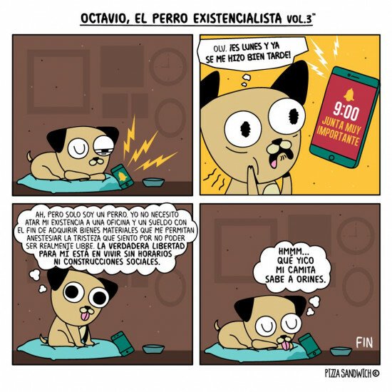 Otros - Los perros saben bien valorar sus obligaciones