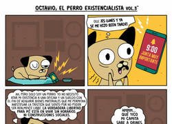 Enlace a Los perros saben bien valorar sus obligaciones