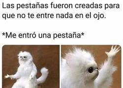 Enlace a Las pestañas tienen grandes fallos