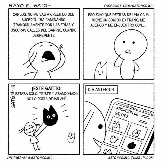 Otros - Esa manía de los amantes de los gatos