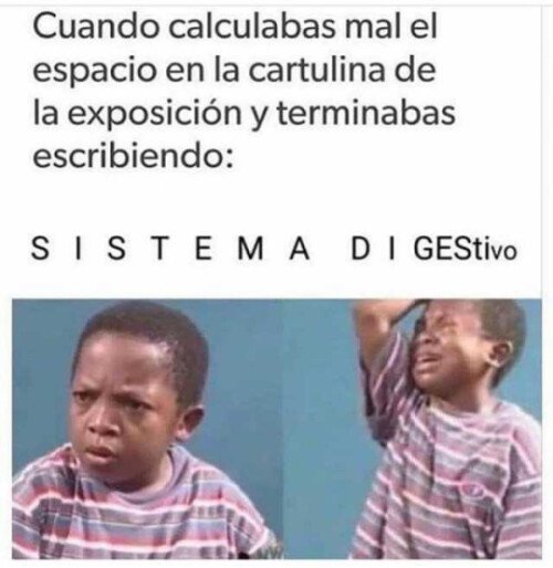 Meme_otros - He quedado tantas veces como idiota...