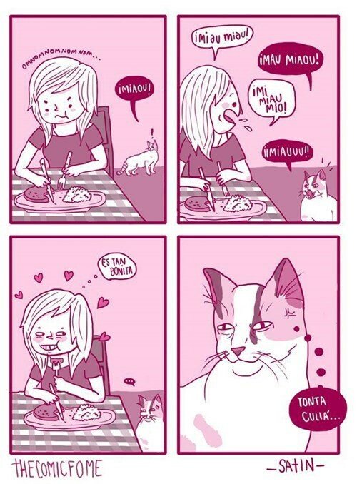 Otros - Los gatos se ríen de nuestra poca inteligencia