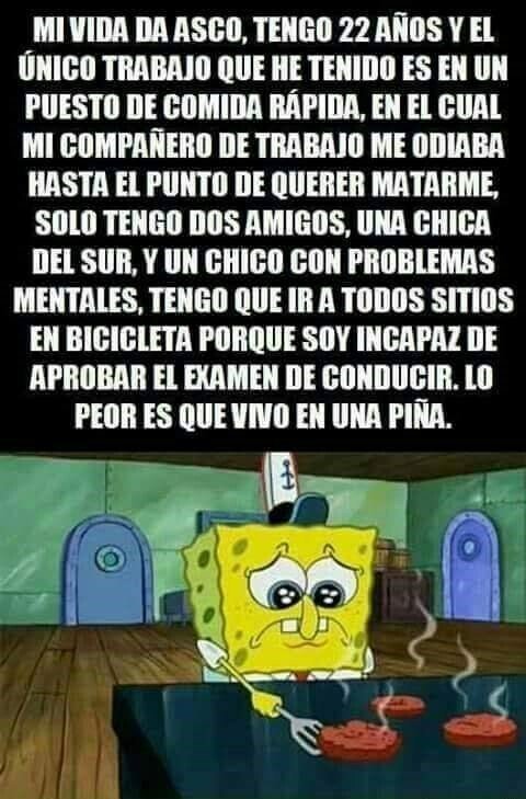 Meme_otros - Una vida realmente triste