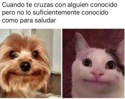 Meme_otros - Bueno pues nos vemos