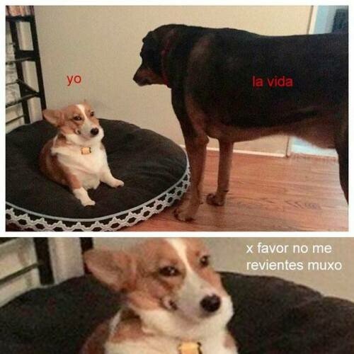 Meme_otros - Ten piedad conmigo