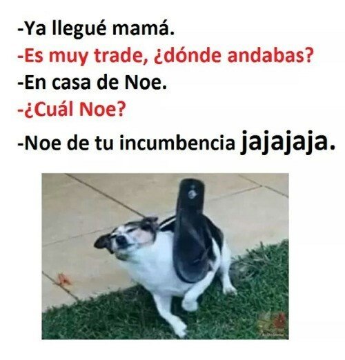 Meme_otros - Hay respuestas que no gustan a tus padres