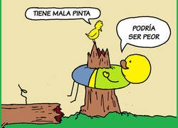 Enlace a Mirándolo así tampoco se está tan mal