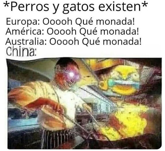 Meme_otros - Los chinos y su gastronomía