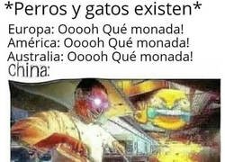 Enlace a Los chinos y su gastronomía