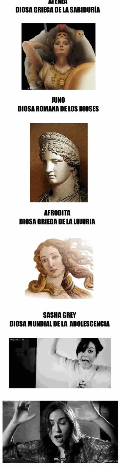 diosas,relaciones,sasha grey