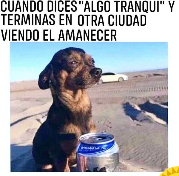 Meme_otros - La noche se desmadró por completo