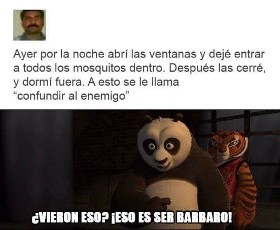 A_nadie_le_importa - Jaque mate mosquitos